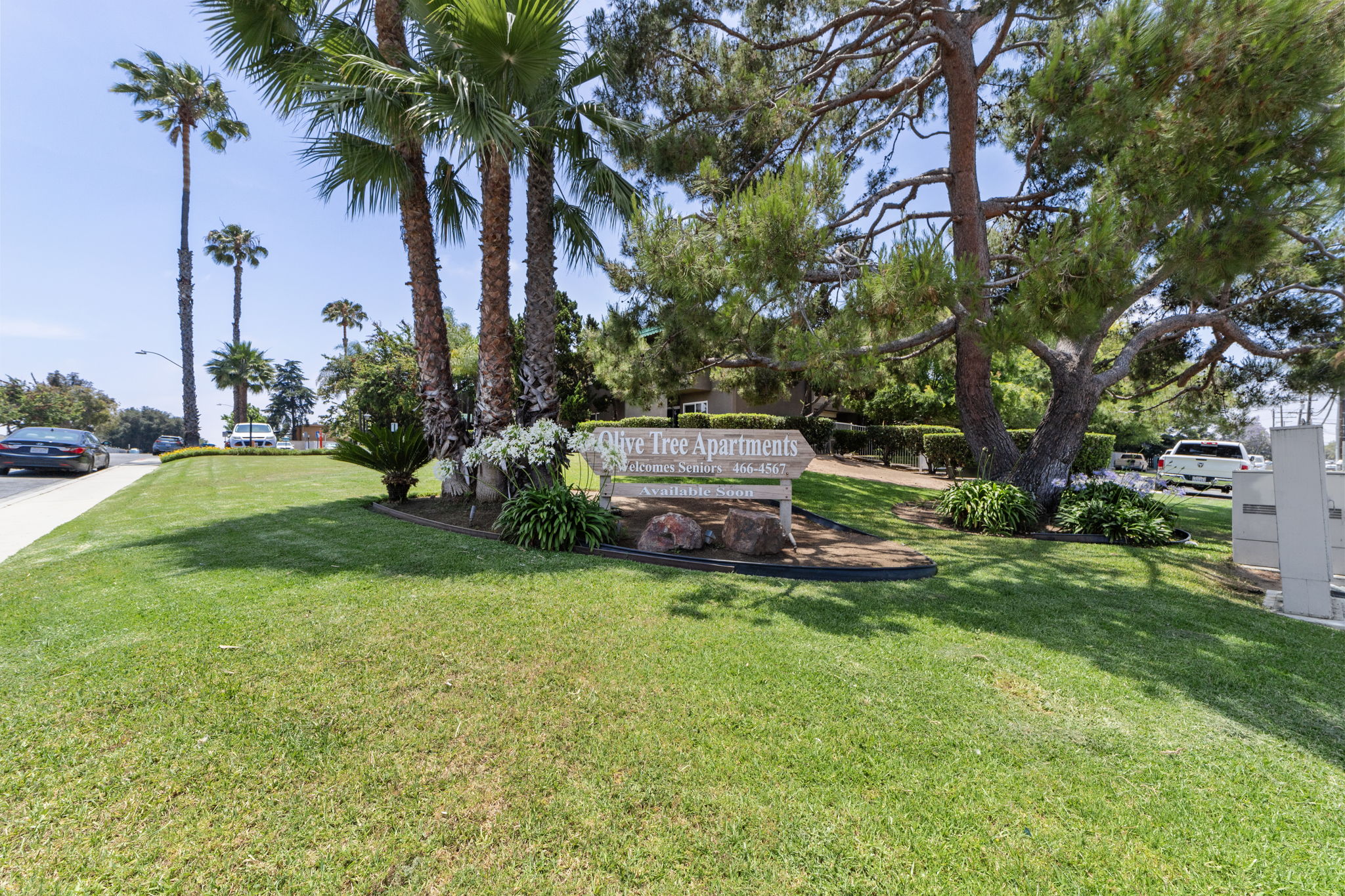 14-web-or-mls-IMG_3465 (2)