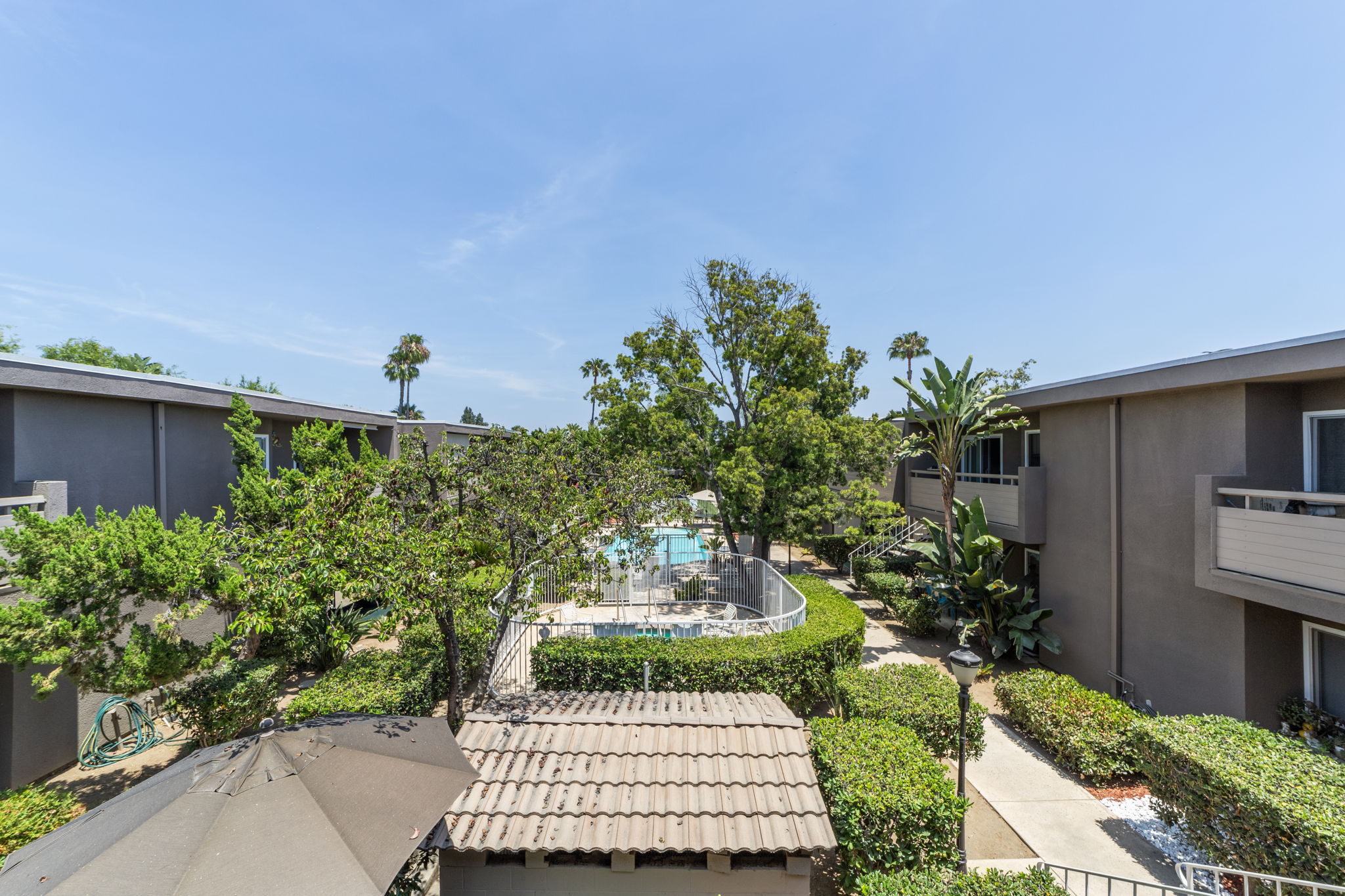 22-web-or-mls-IMG_3492